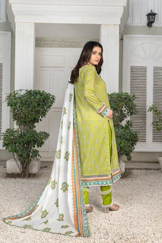 DESIRE Digital Printed Lawn 3pcs PR-2734 image